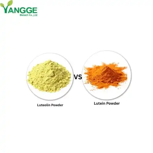 What is the difference between lutein and luteolin